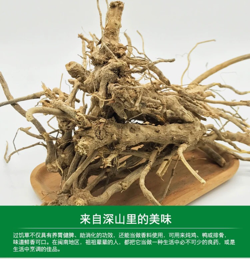 野生毛将军过饥草福建闽南中草药兔子耳过枝草土丁桂白头翁山