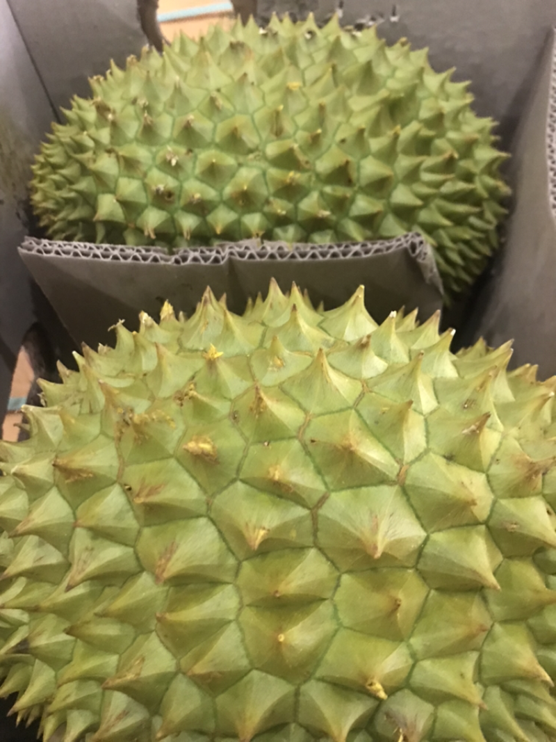 东南亚水果，芒果，木瓜