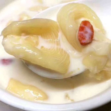鱼胶