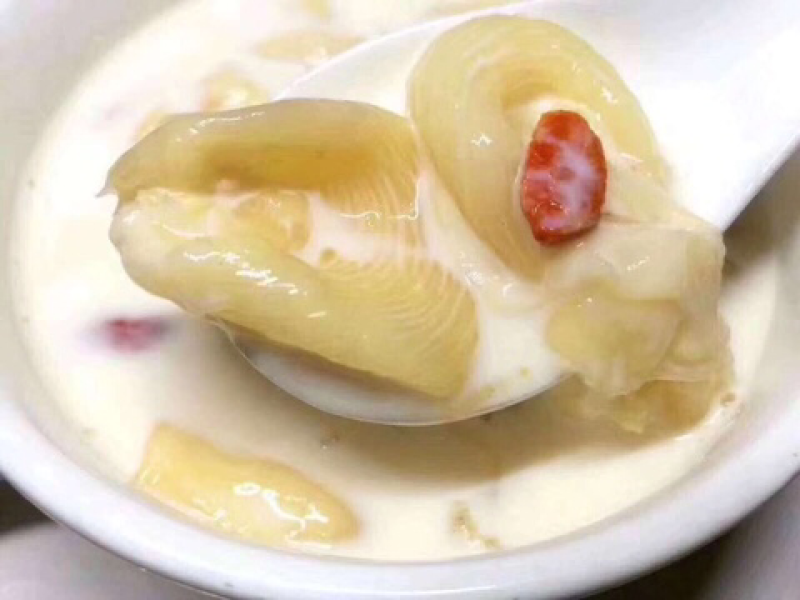 鱼胶