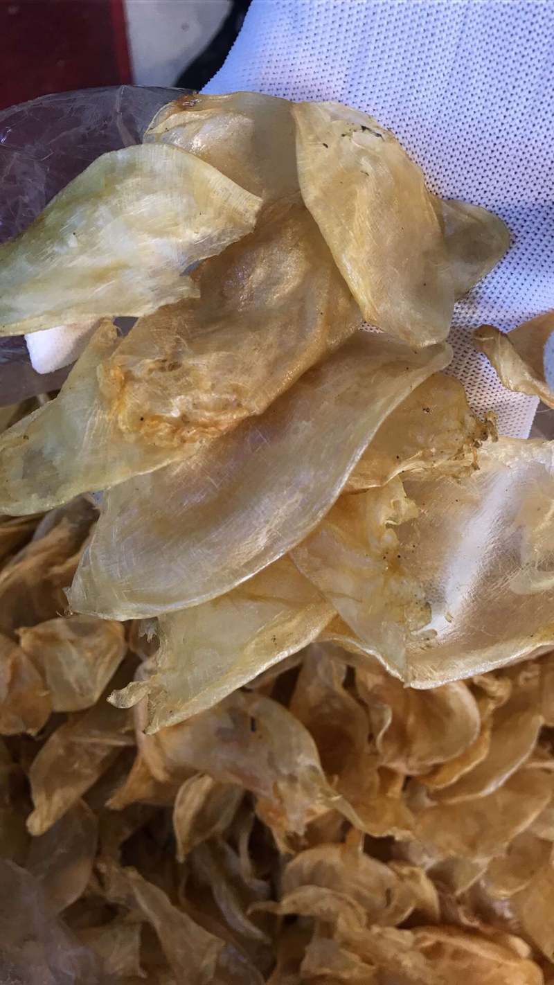 鱼胶