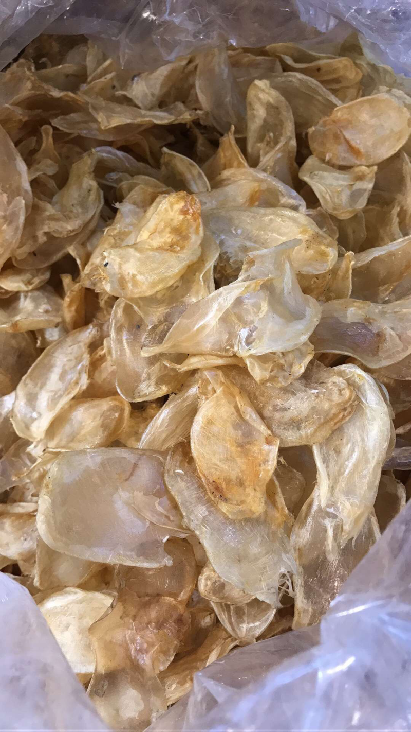 鱼胶