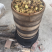 纯野生黄精（九蒸九晒，黄酒泡制）
