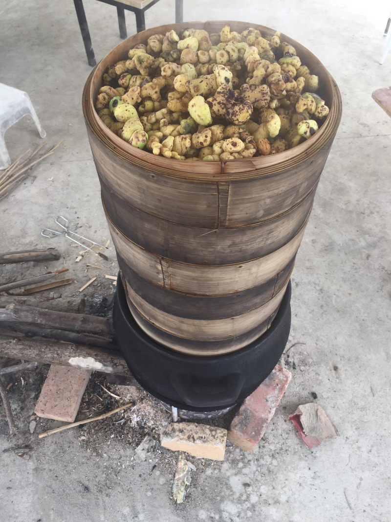 纯野生黄精（九蒸九晒，黄酒泡制）