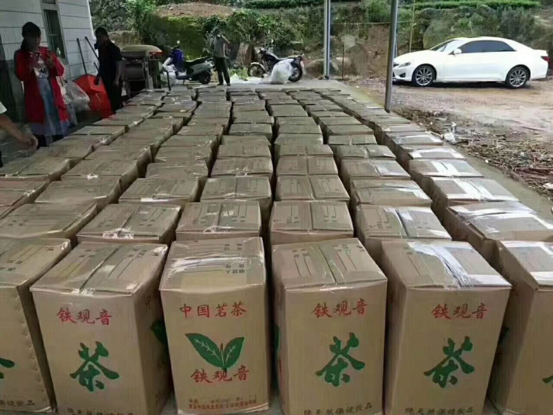 【一件代发】铁观音乌龙茶安溪铁观音兰花香500克茶农直销