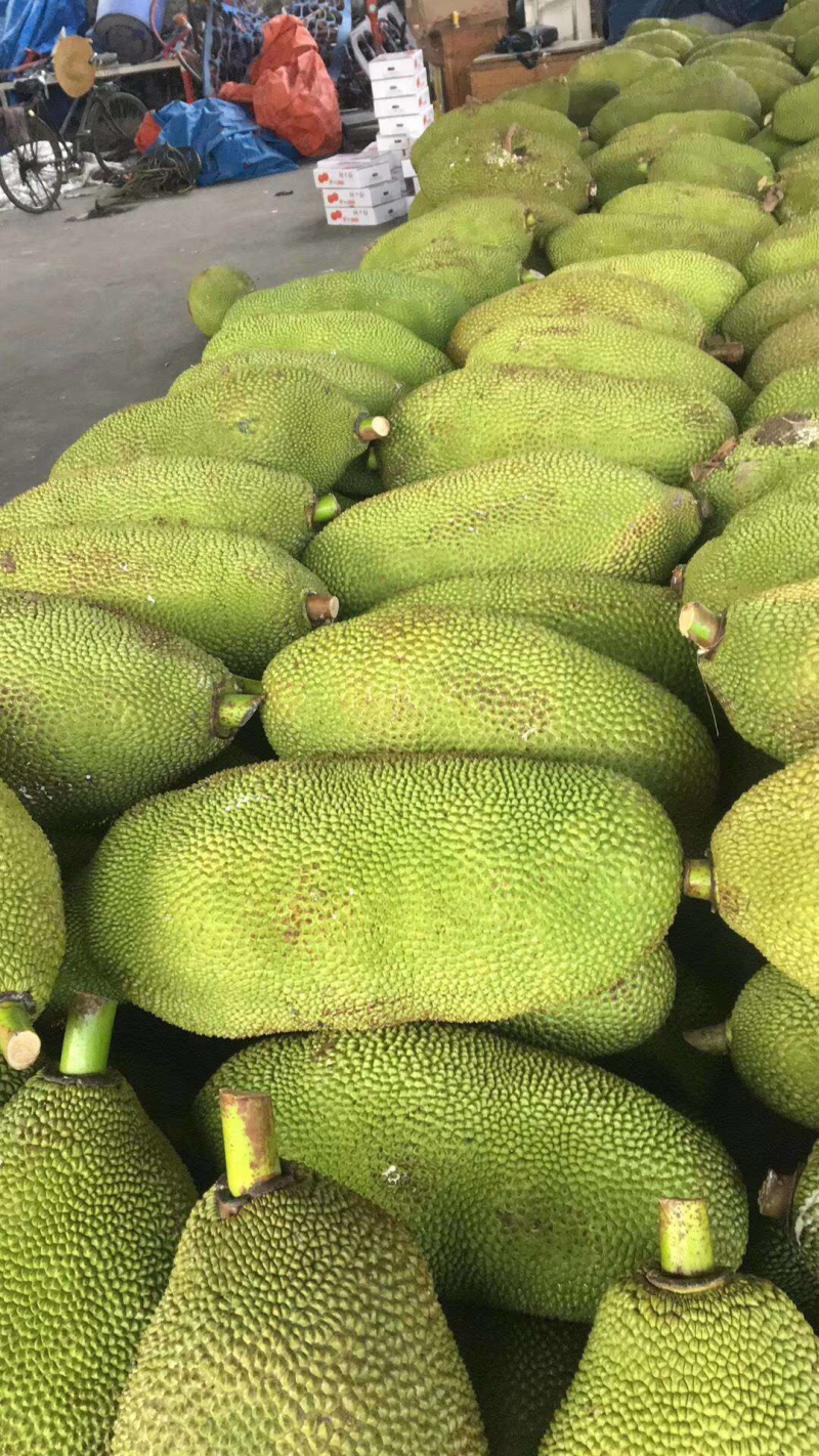 广东菠萝蜜