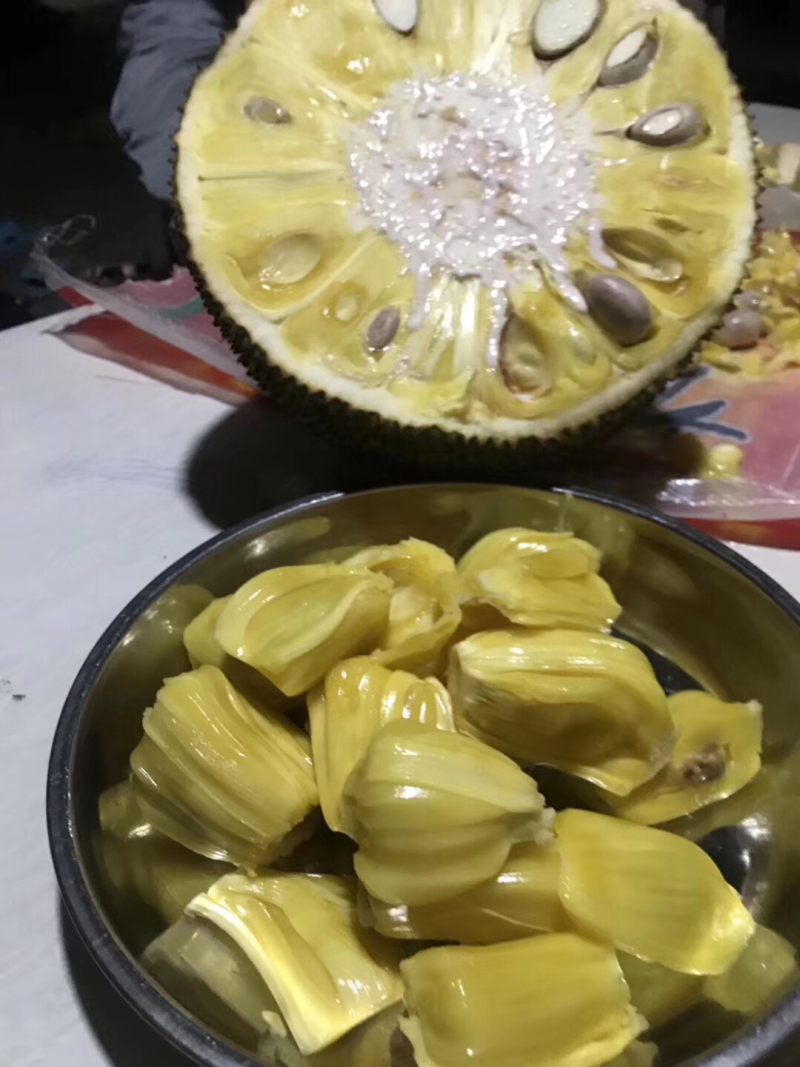 广东菠萝蜜本地菠萝蜜大量上市中一等货