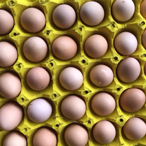 批发零售草🐔初生蛋。🐛草蛋。绿壳蛋