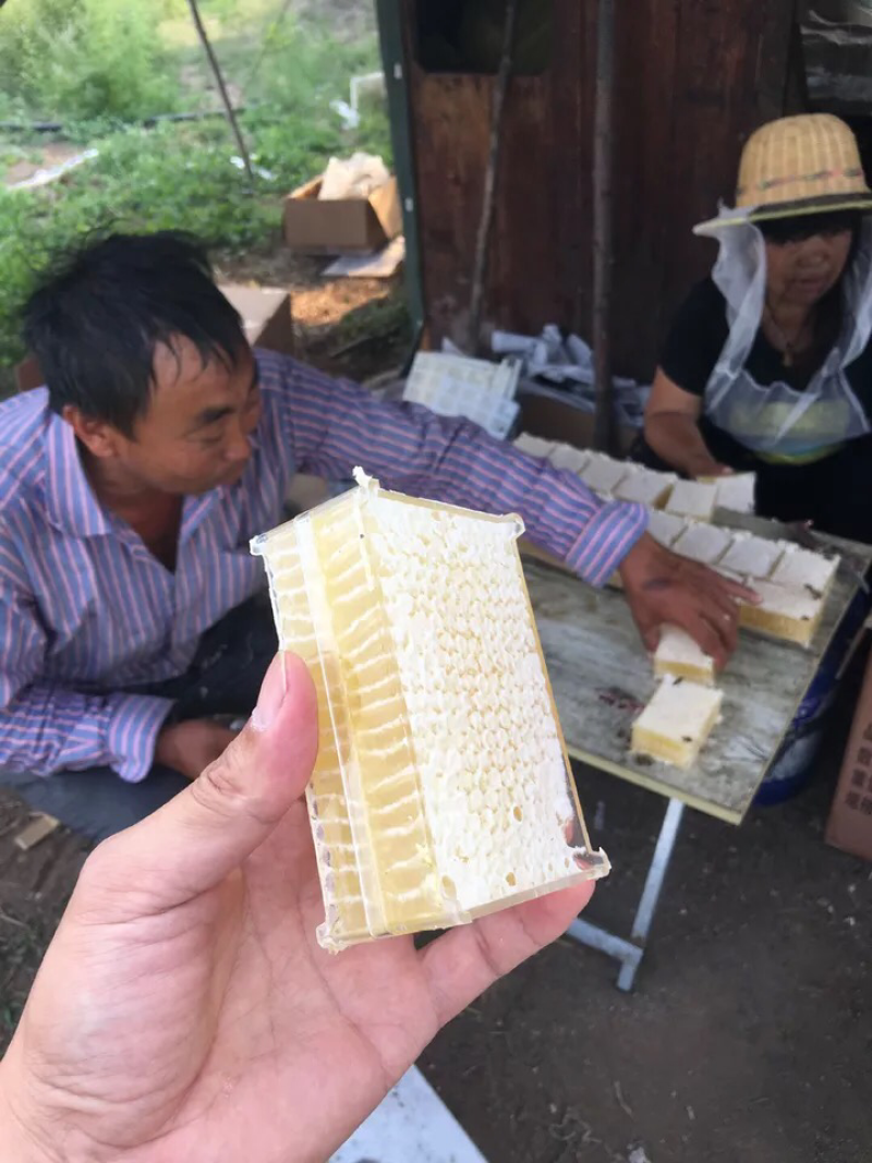 蜂巢蜜500克一斤装