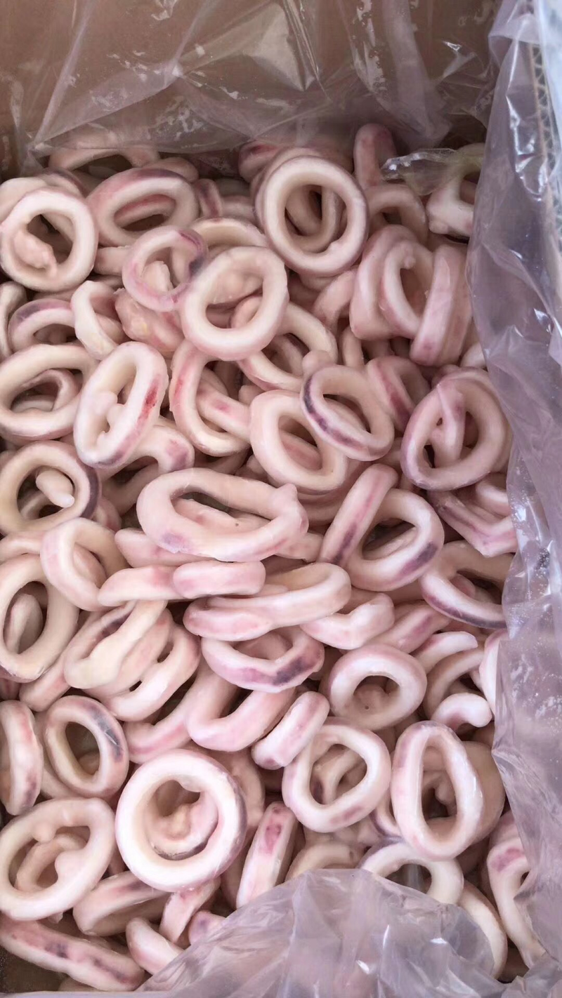 各种鱼类