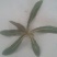 蔬菜