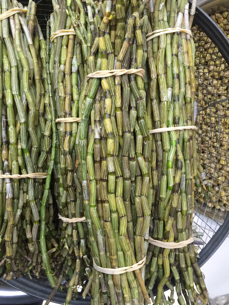 铁皮石斛鲜条优选货包邮