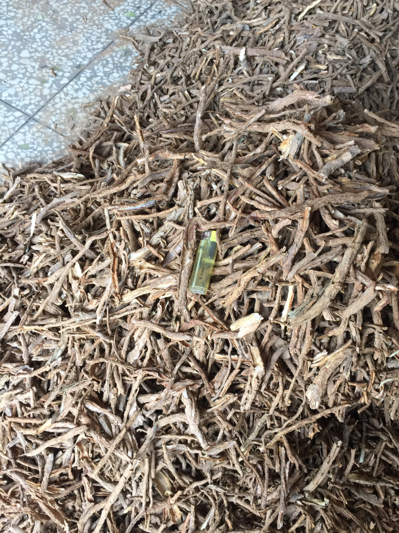 地骨皮纯手捡