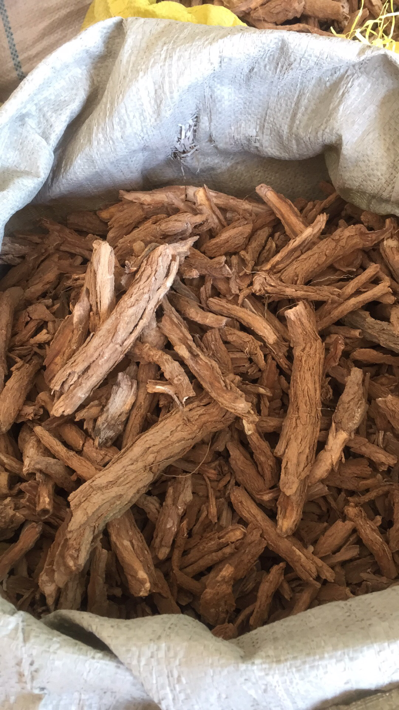 地骨皮纯手捡
