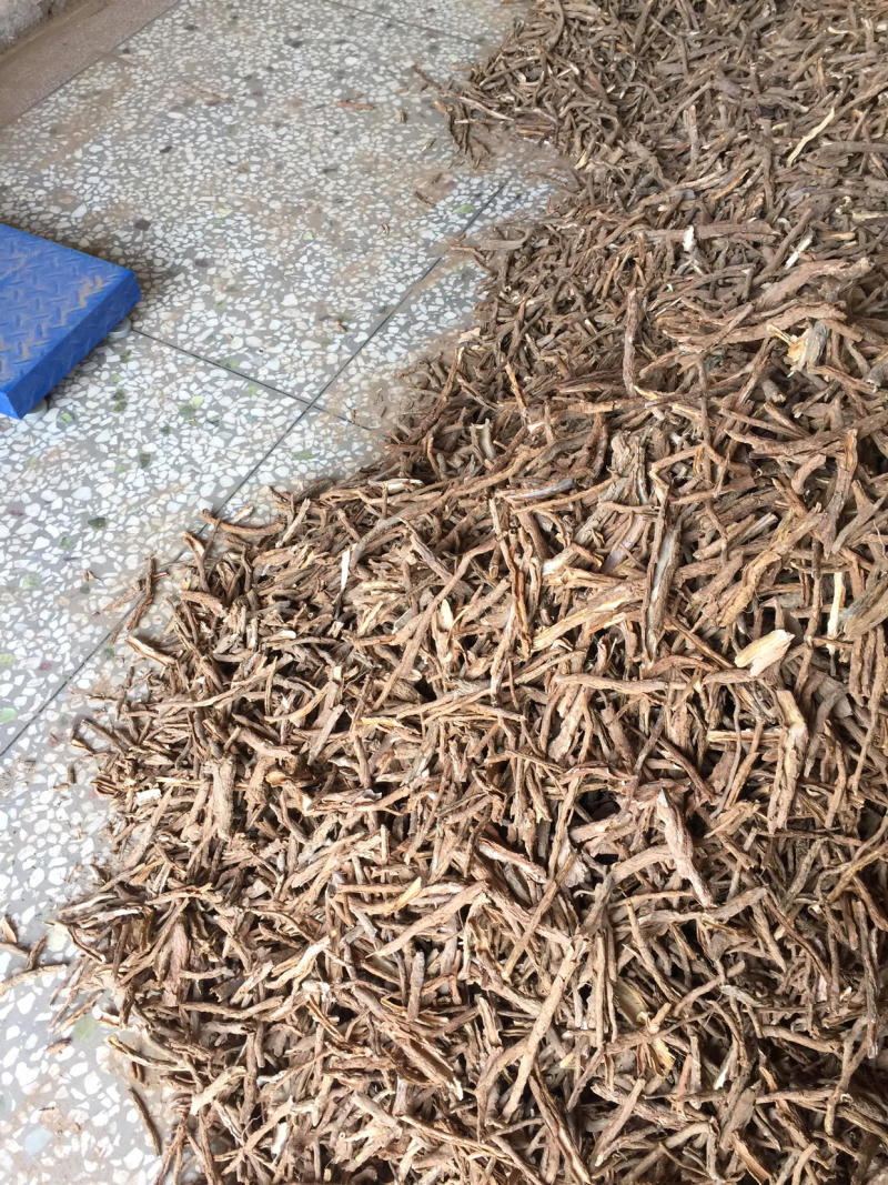 地骨皮纯手捡