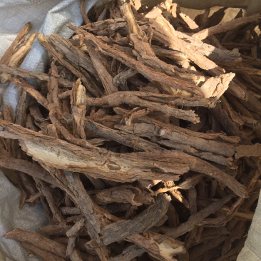 地骨皮纯手捡