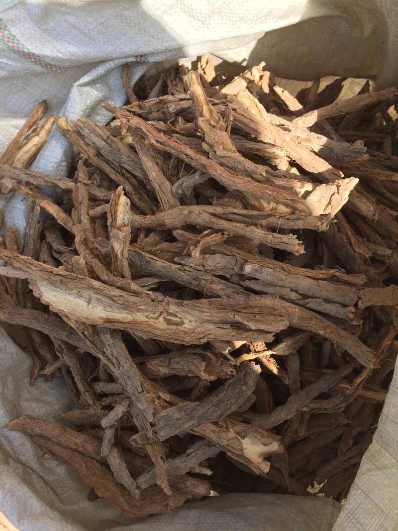 地骨皮纯手捡