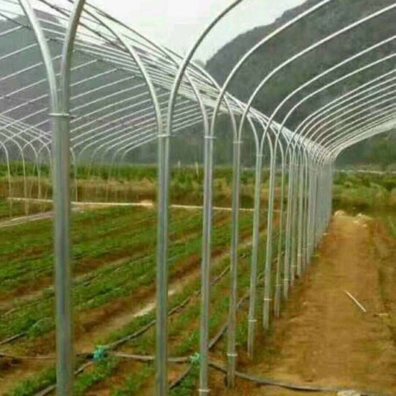温室钢架大棚