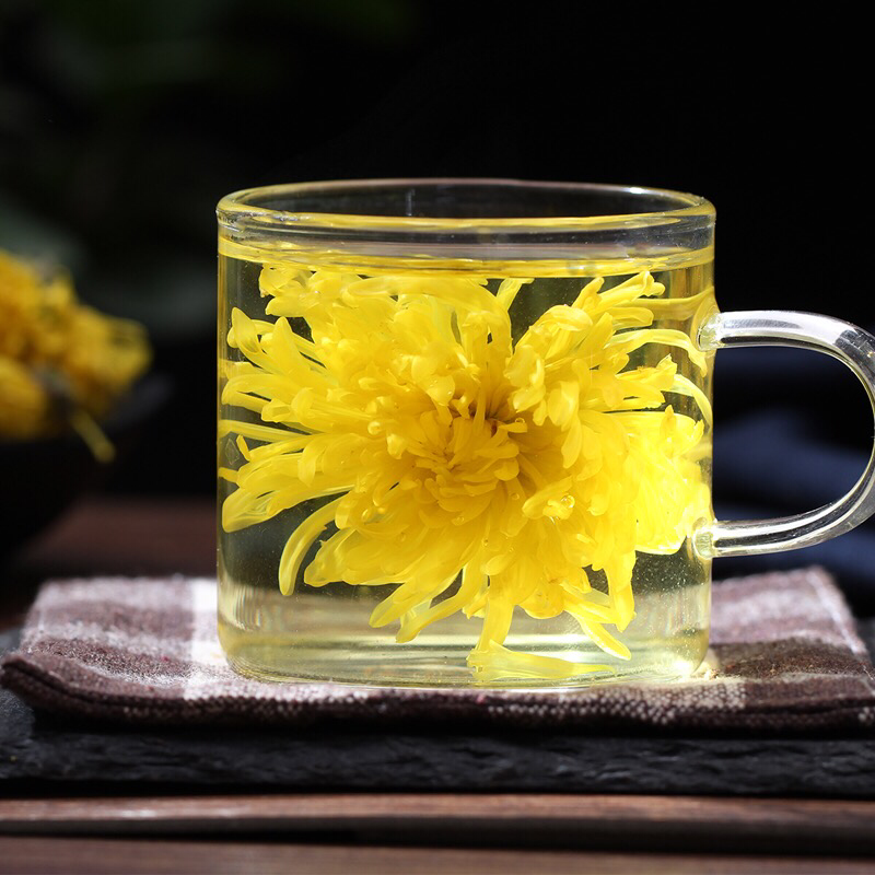 金丝皇菊