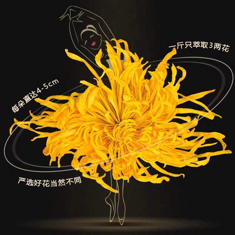 金丝皇菊