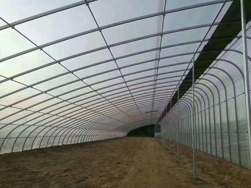 钢架大棚