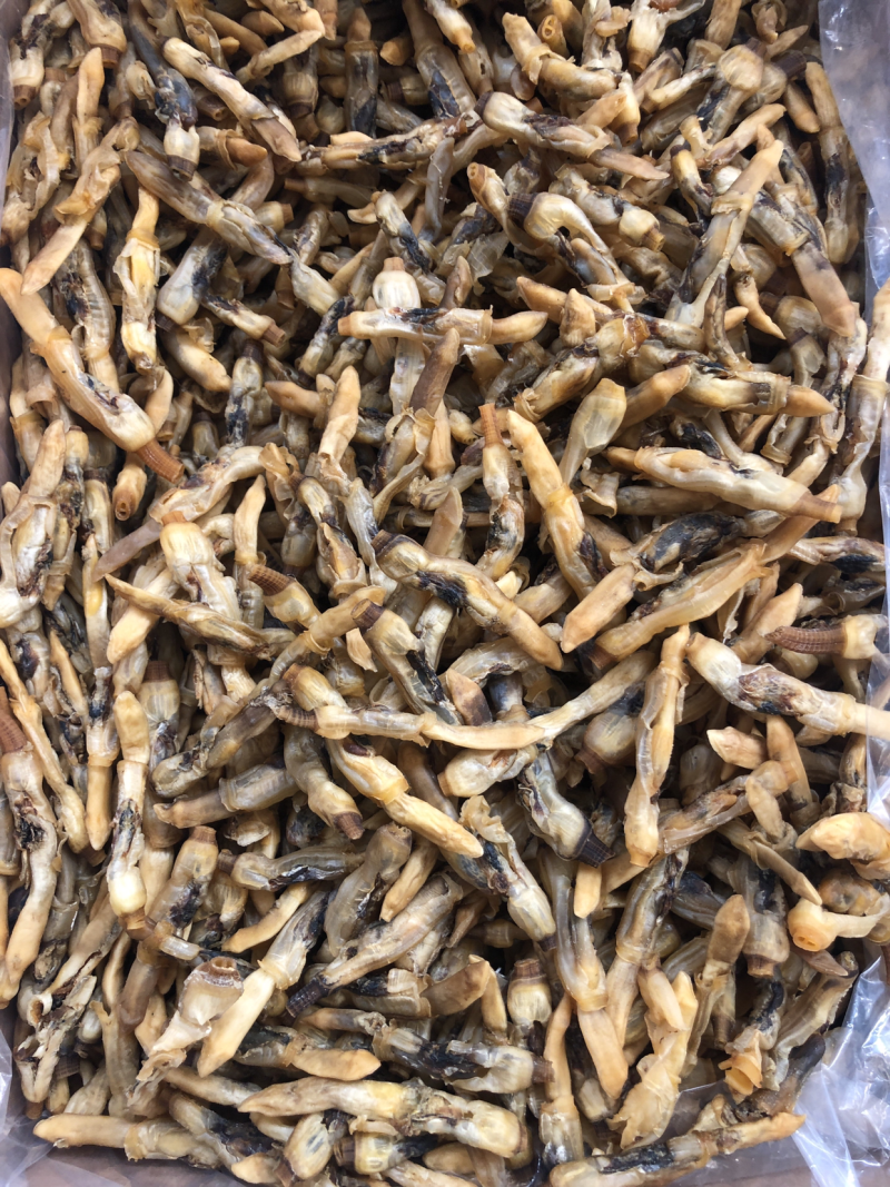 蛏干海蛏干山东日照厂家直销规格齐全可视频看货