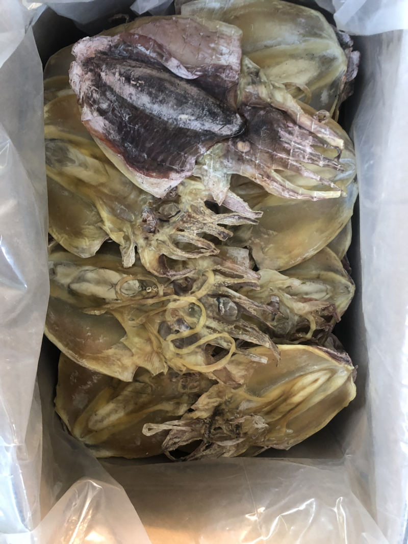 墨鱼墨鱼干大量有货山东日照厂家直销规格齐全可视频看货