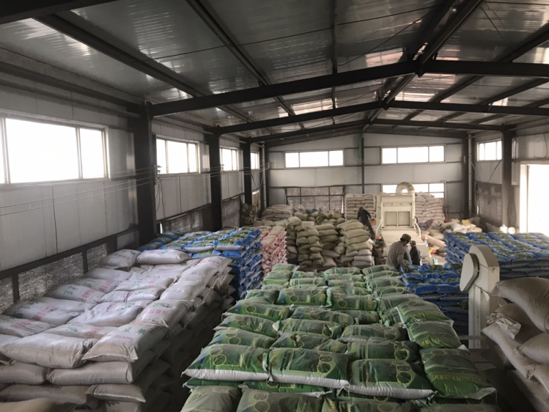 甘肃牧草种子批发，产地批发，没有中间商，价格实惠