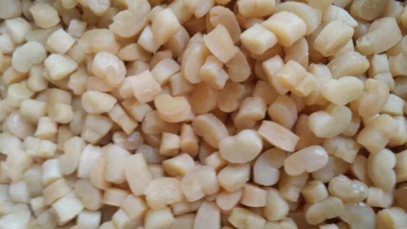新货干贝干货250g-500g瑶柱干特级野生扇贝渔民自晒