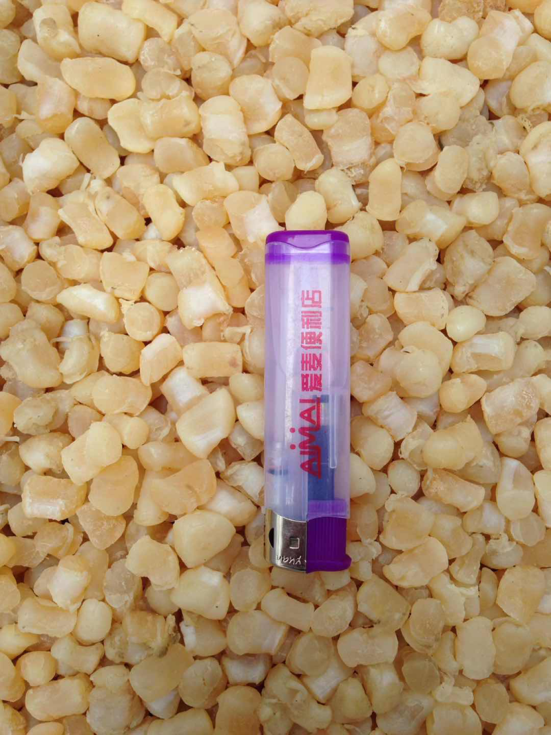 新货干贝干货250g-500g瑶柱干特级野生扇贝渔民自晒