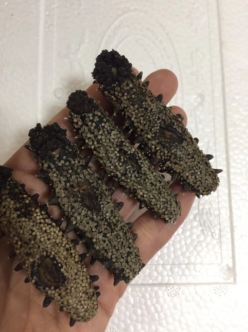 新货干贝干货250g-500g瑶柱干特级野生扇贝渔民自晒