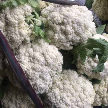 青梗菜
