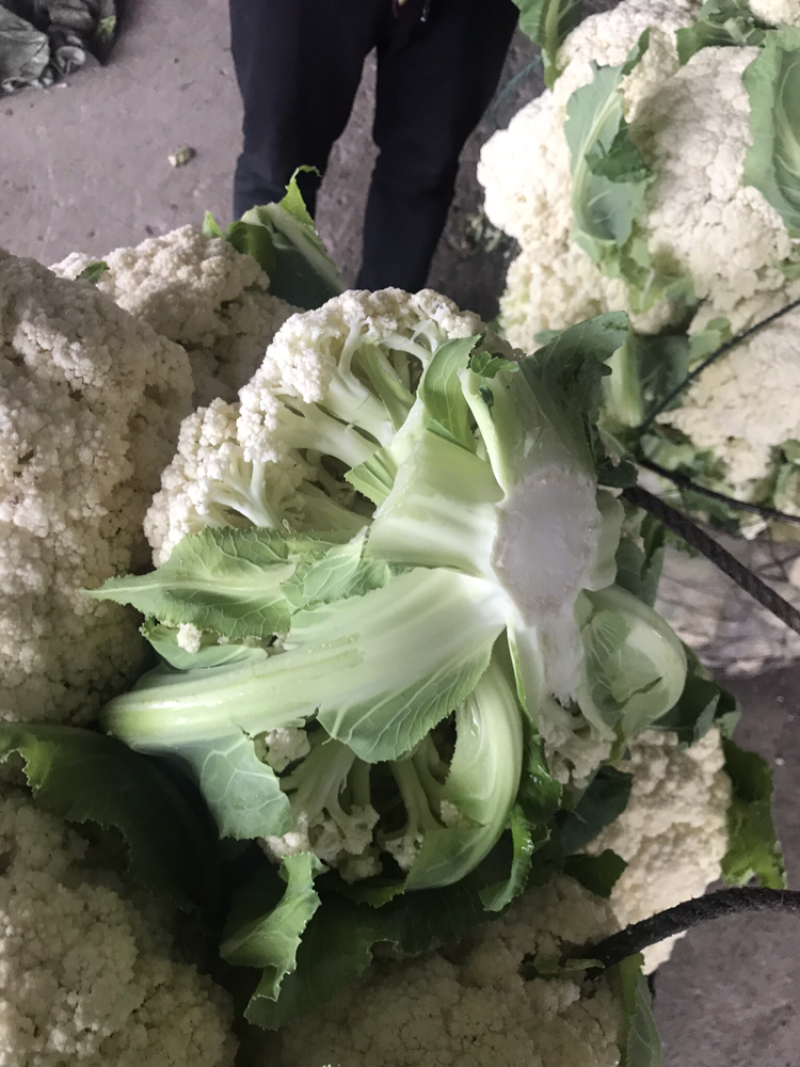 青梗菜