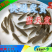 军鱼苗快递发货