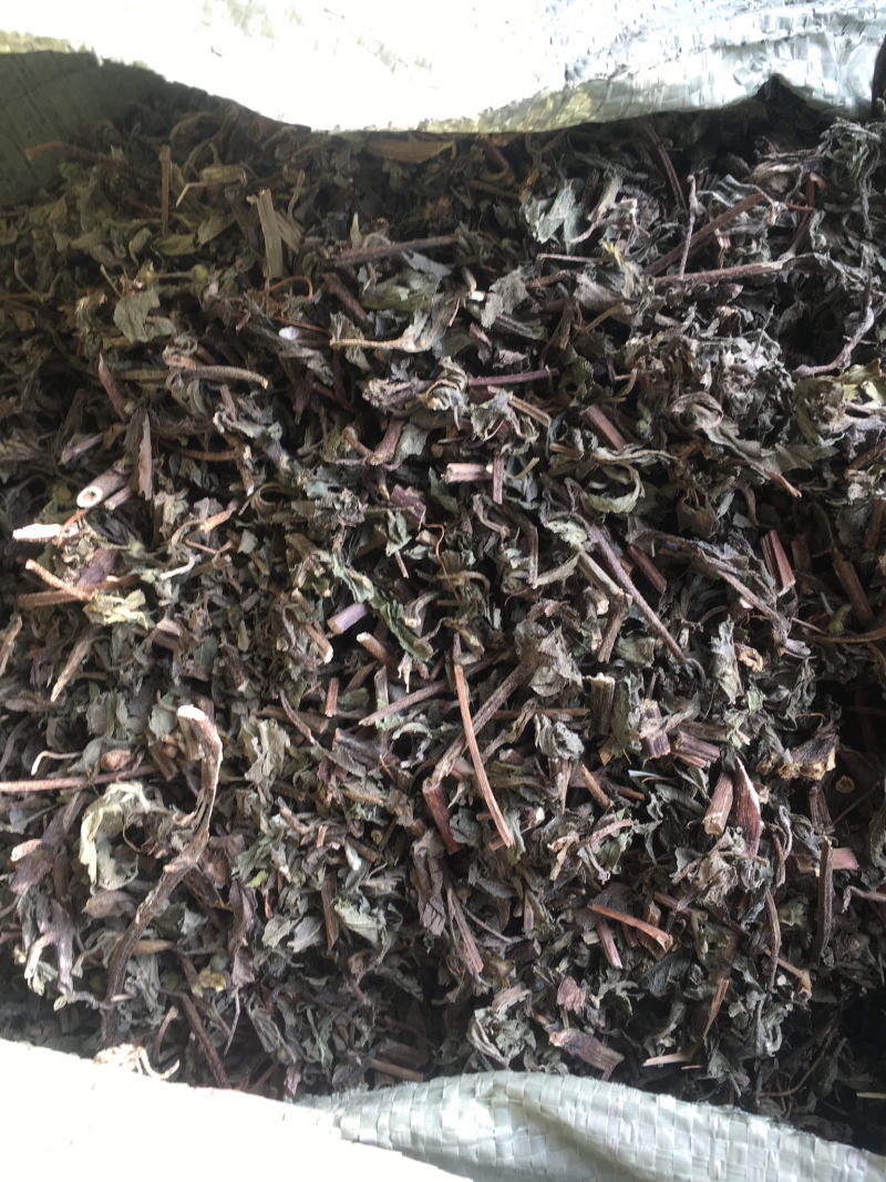 旱连草