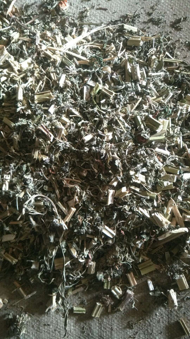 益母草