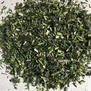 益母草