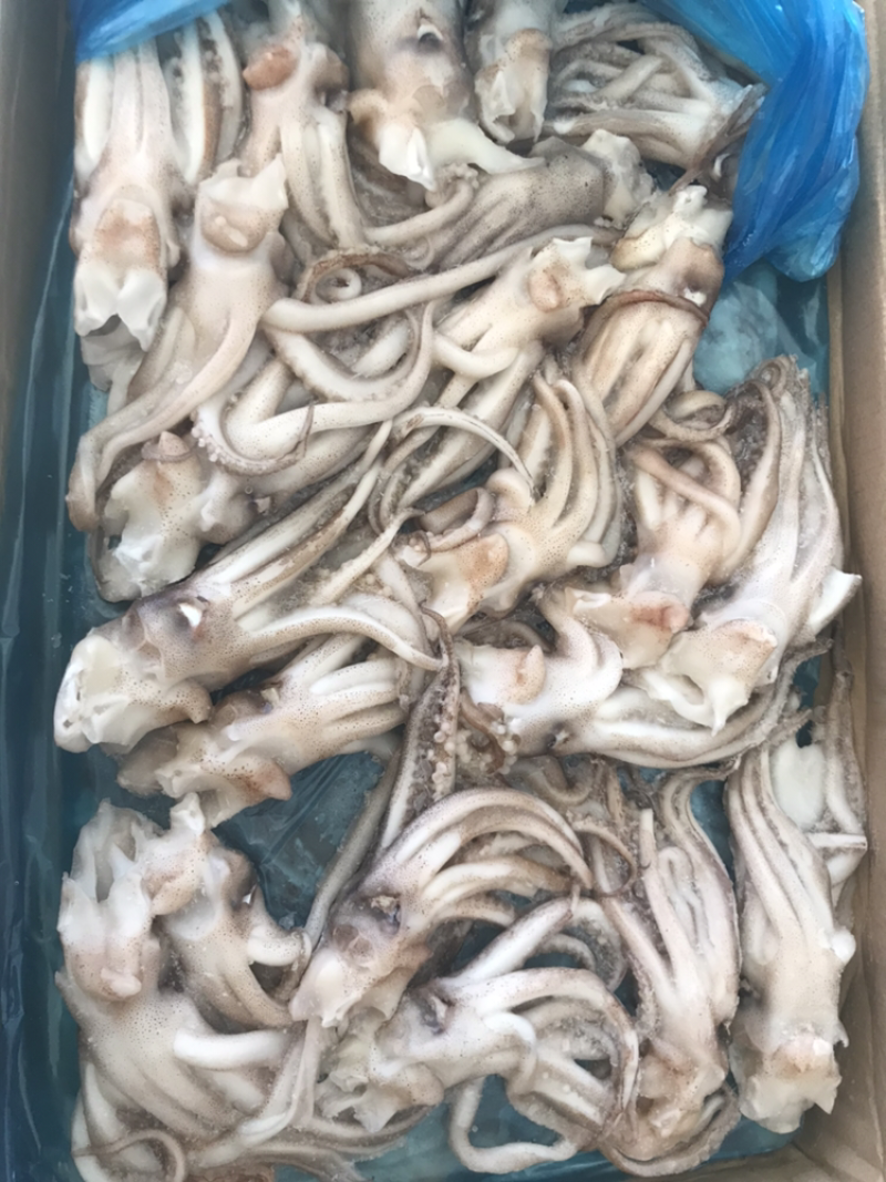 机洗头个头均匀规格标准质量品质有保证