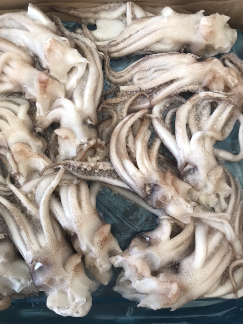 机洗头个头均匀规格标准质量品质有保证