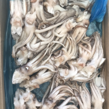 机洗头个头均匀规格标准质量品质有保证