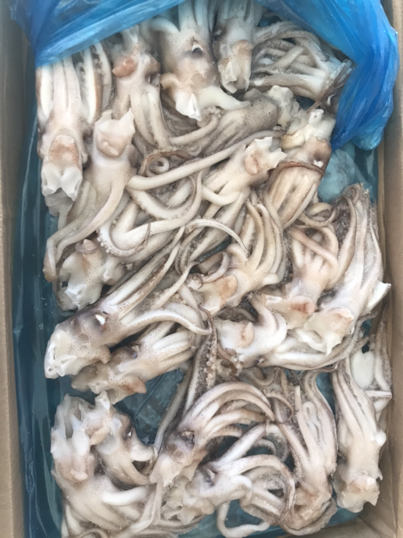 机洗头个头均匀规格标准质量品质有保证