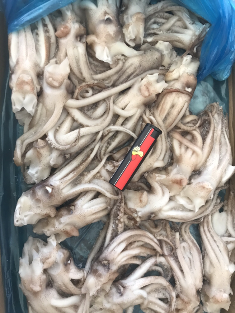 机洗头个头均匀规格标准质量品质有保证