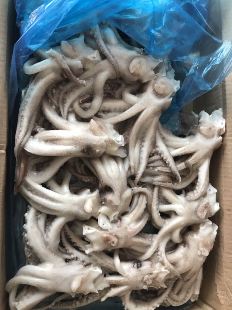 机洗头个头均匀规格标准质量品质有保证