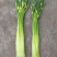 蒜苔大量上市有粗有细