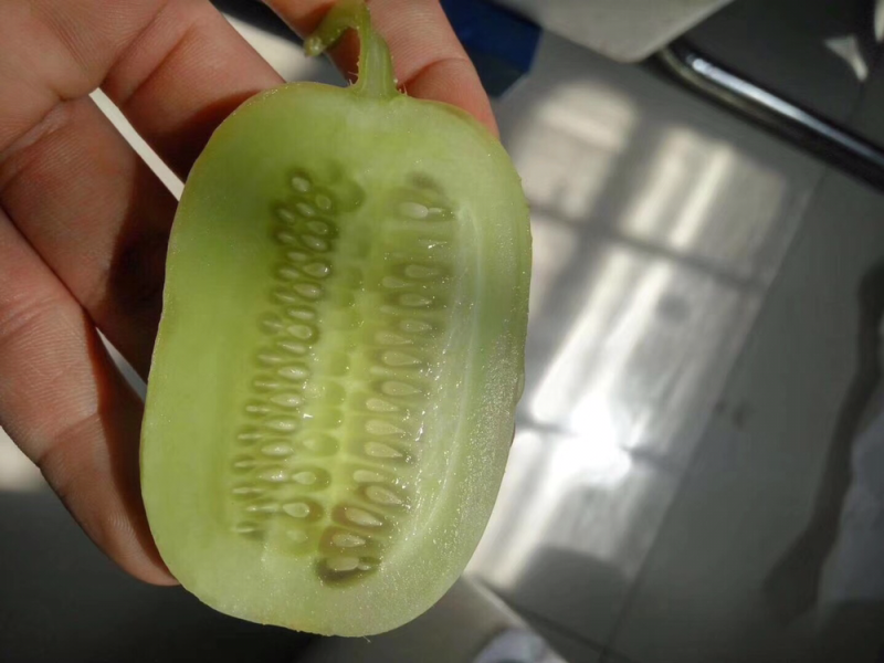 金童玉女水果黄瓜玉女瓜水果黄瓜