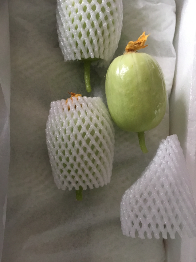 金童玉女水果黄瓜玉女瓜水果黄瓜