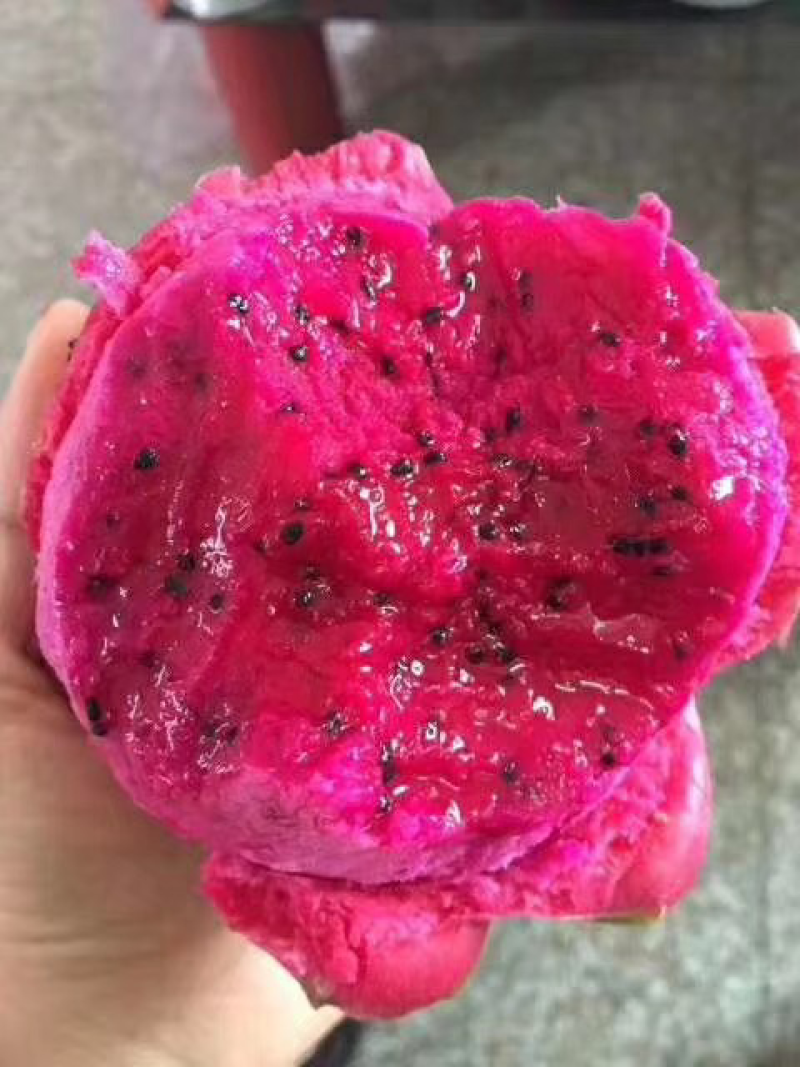 越南红心火龙果甜如初恋，红如玫瑰