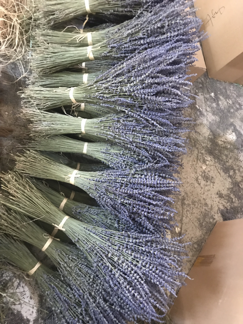薰衣草干花花束永生薰衣草花束
