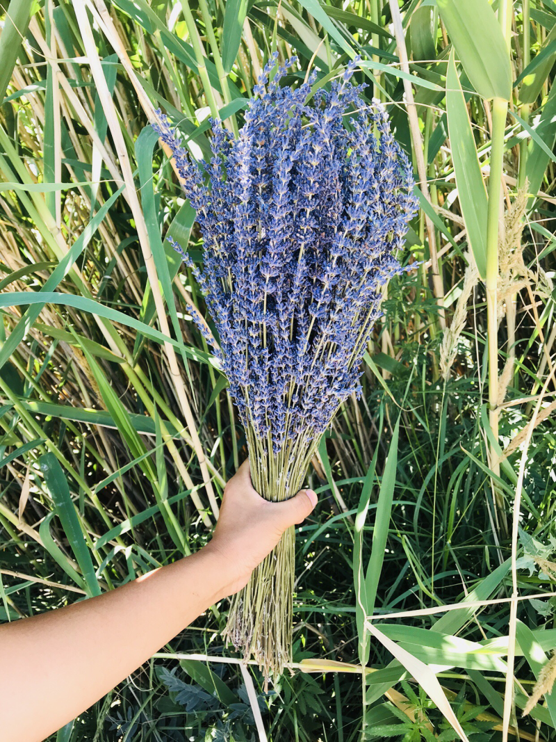 薰衣草干花花束永生薰衣草花束