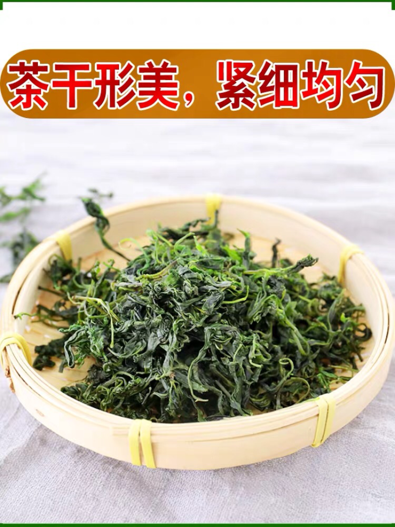 苦丁